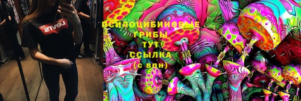 2c-b Аркадак